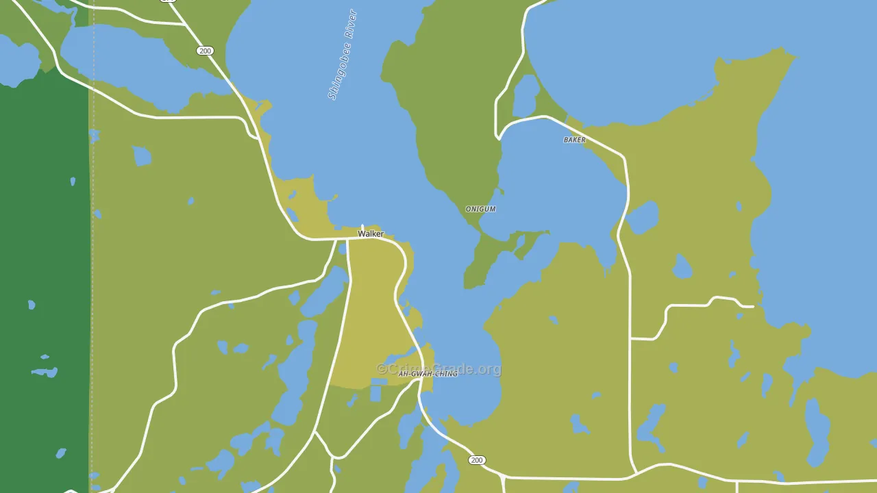 Walker, MN Map of Vehicle Theft Rates