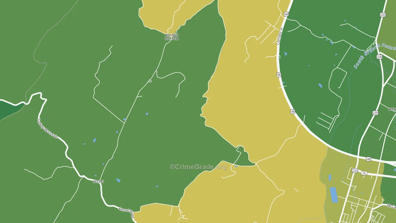 Walnut Bottom, WV Map of Vehicle Theft Rates