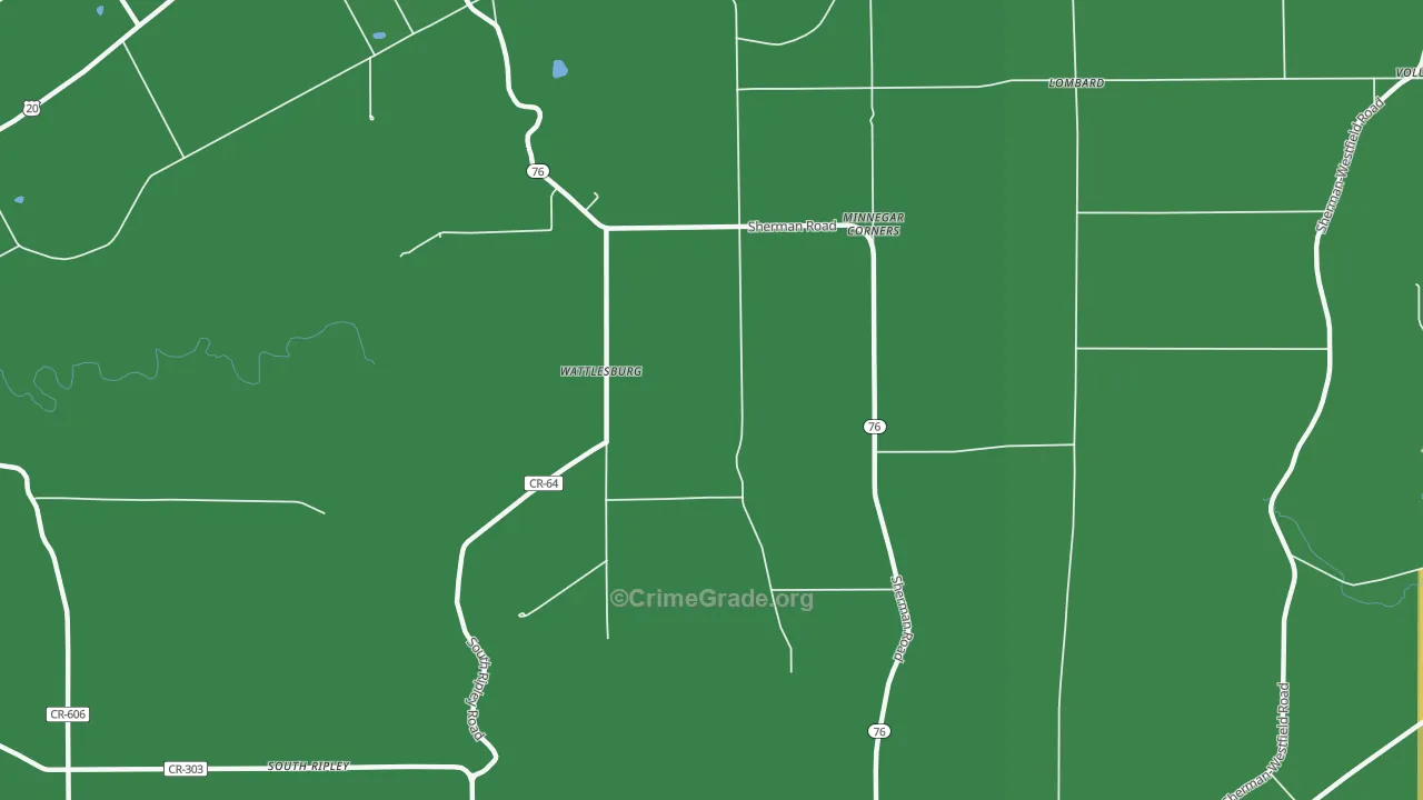 Wattlesburg, NY Map of Vehicle Theft Rates