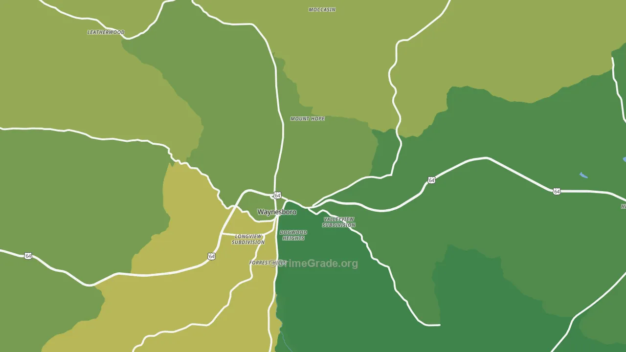 Waynesboro, TN Map of Vehicle Theft Rates