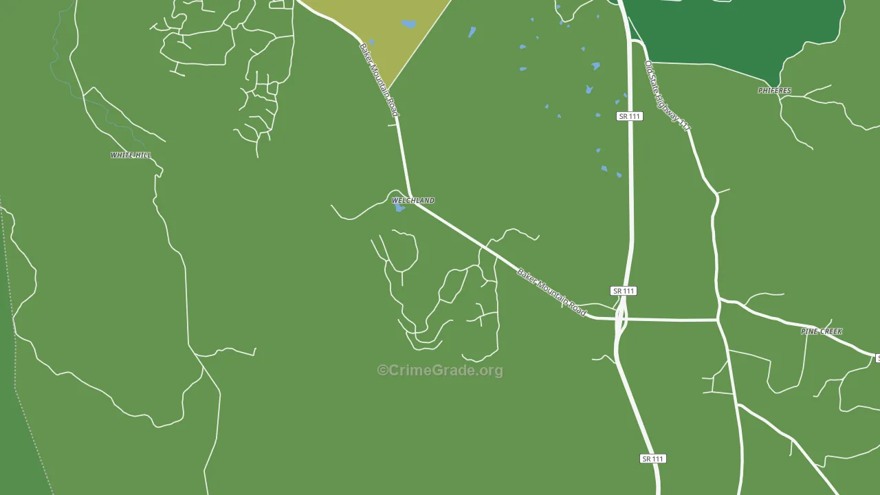 Welchland, TN Map of Vehicle Theft Rates