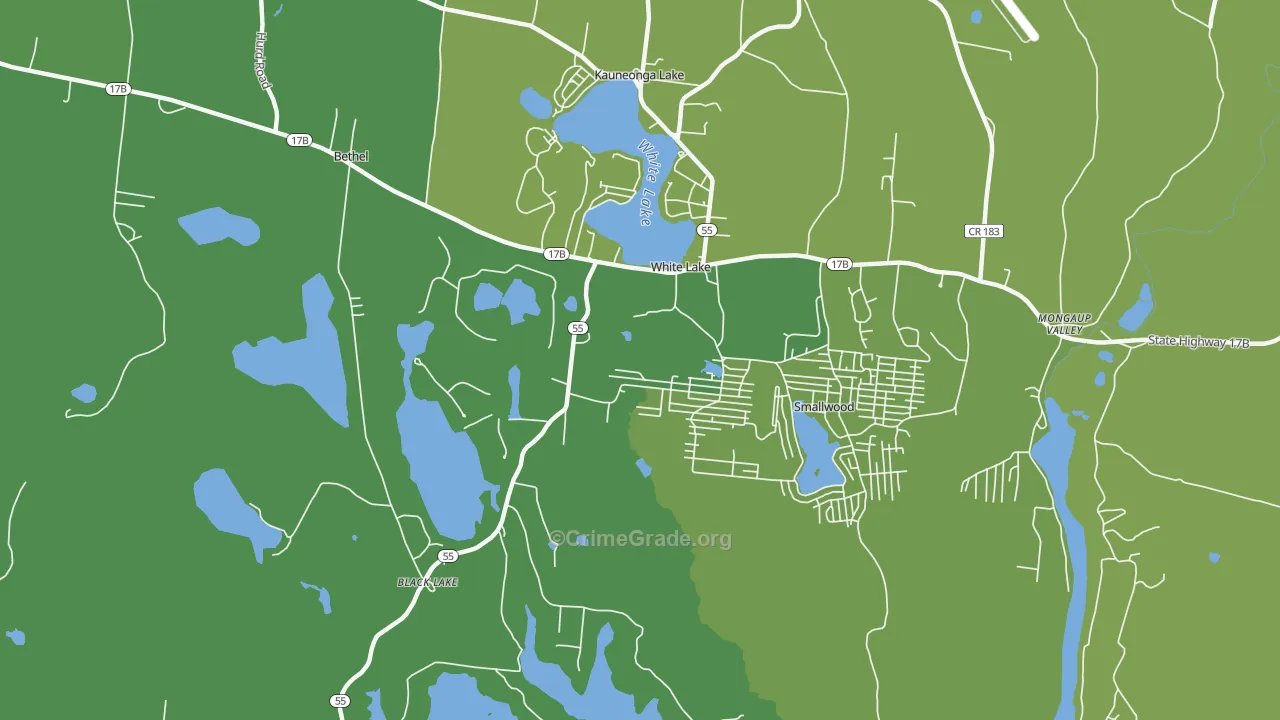 White Lake, NY Map of Vehicle Theft Rates