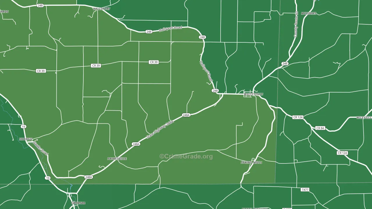 Whitesville, NY Map of Vehicle Theft Rates