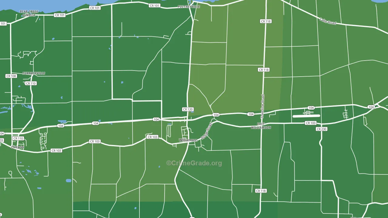 Williamson, NY Map of Vehicle Theft Rates
