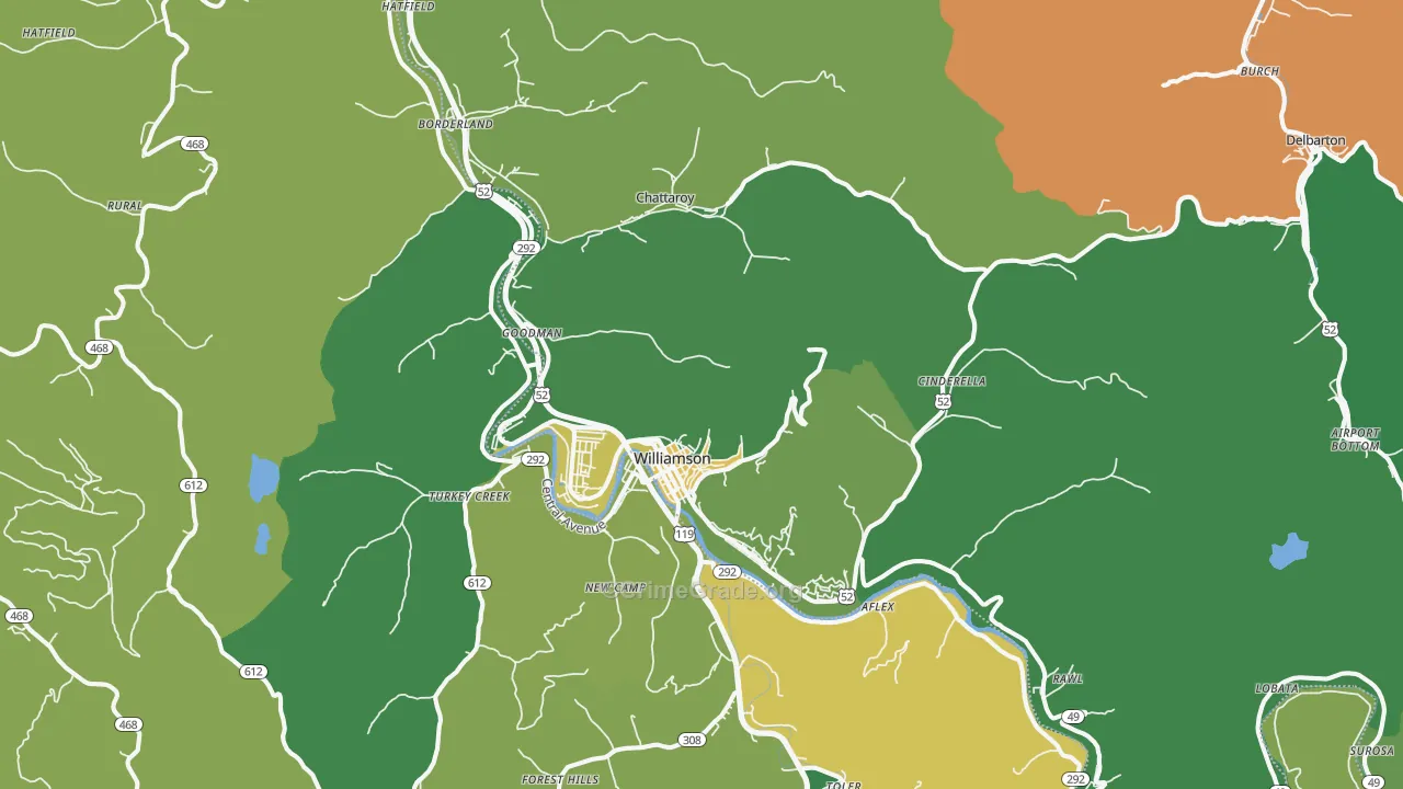 Williamson, WV Map of Vehicle Theft Rates