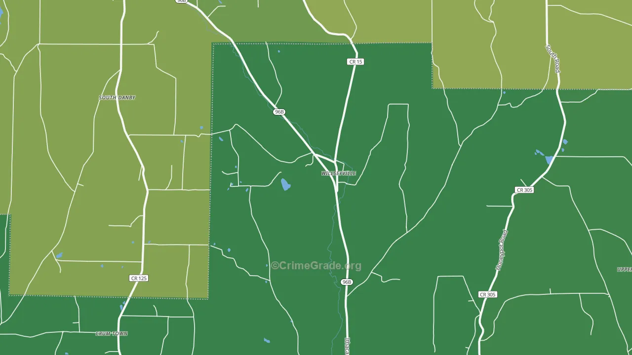 Willseyville, NY Map of Vehicle Theft Rates