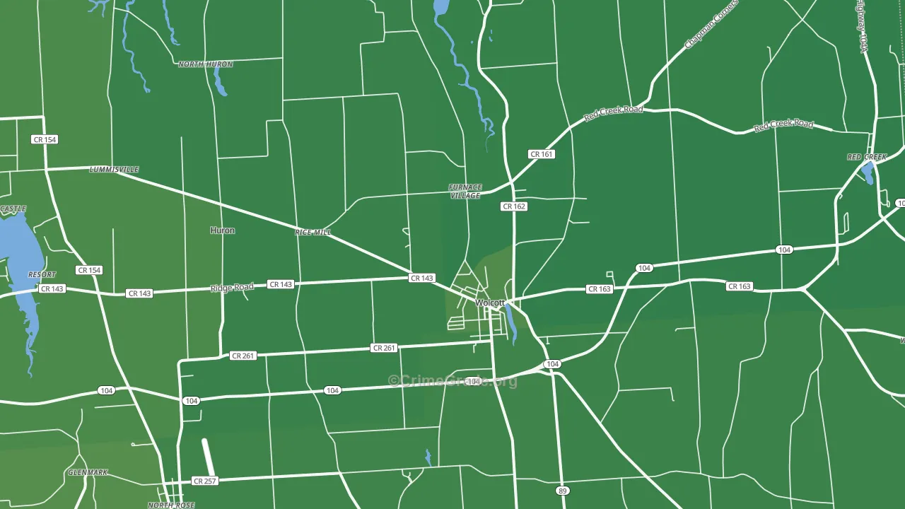Wolcott, NY Map of Vehicle Theft Rates