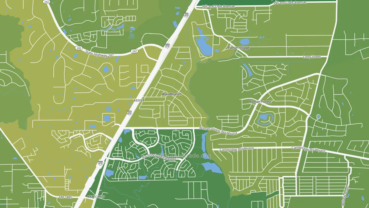 Woodbranch, TX Map of Vehicle Theft Rates