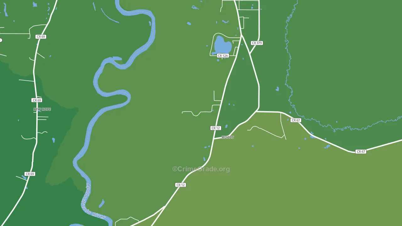 Woods, FL Map of Vehicle Theft Rates