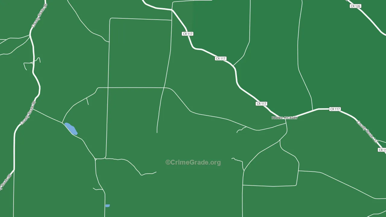 Young Hickory, NY Map of Vehicle Theft Rates