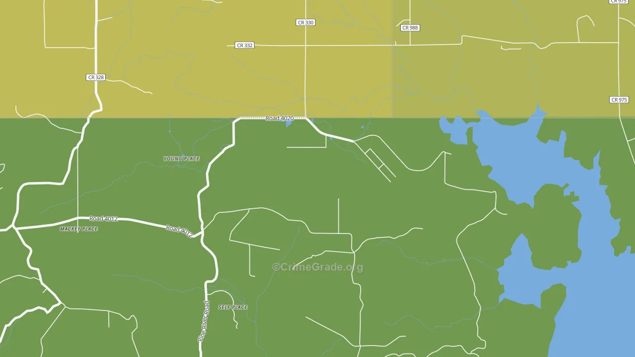 Young Place, NM Map of Vehicle Theft Rates