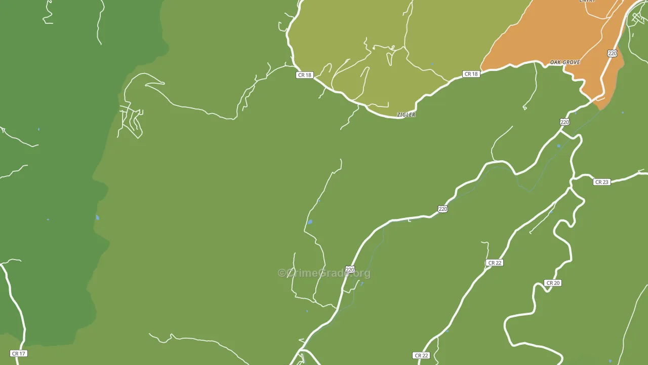 Zigler, WV Map of Vehicle Theft Rates